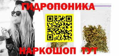 spice Аргун