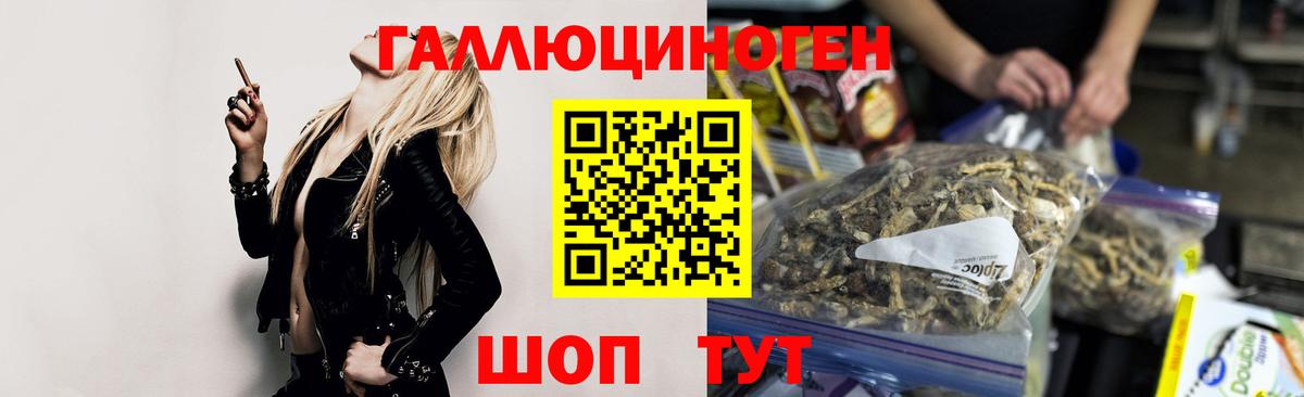 Псилоцибиновые грибы GOLDEN TEACHER Верхний Уфалей
